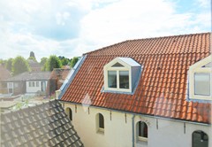 DSC_0009.JPG