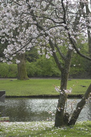 Medium property photo - Eendrachtstraat 20-2, 1078 XZ Amsterdam