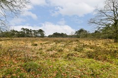 Aagje Dekenlaan 203 - 55.jpg