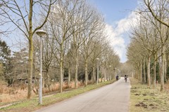 Bos en Lommerweg 153-3 - 27.jpg
