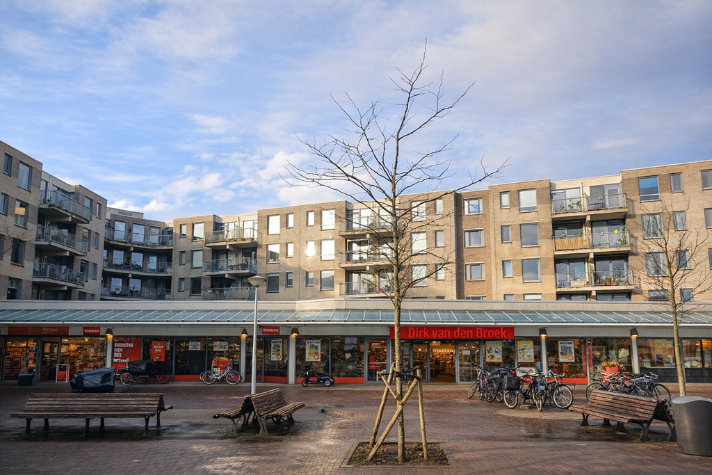 Van Ollefenstraat 12, Amsterdam