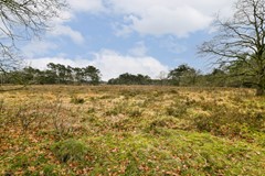 aagje dekenlaan 203 - 55.jpg
