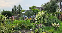 For sale: Aristotelesstraat 16, 1349 DM Almere