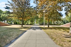 Hamontstraat 41 - 40.jpg