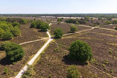 27_dji_20260522133019_0371_d_cvdf.jpg