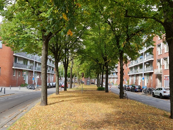 Medium property photo - Claes de Vrieselaan 162A, 3021 JZ Rotterdam