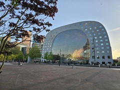 20250429_202839.jpg