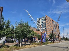 20250704_122330.jpg