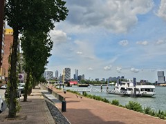 20250704_133140.jpg