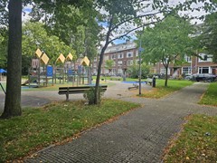 20250805_141342.jpg