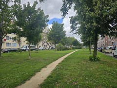 20250805_142157.jpg
