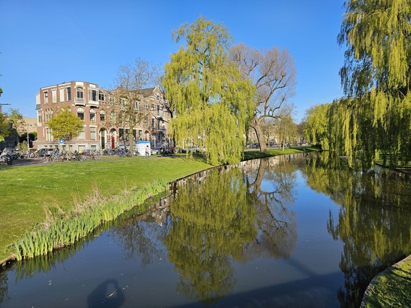 Medium property photo - Lumeystraat 19BGL, 3039 ZN Rotterdam