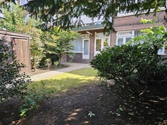 20250806_112948.jpg