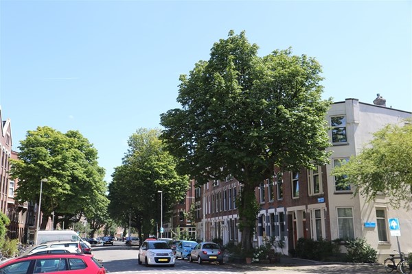 Medium property photo - Burgemeester Meineszplein 6B, 3022 XA Rotterdam