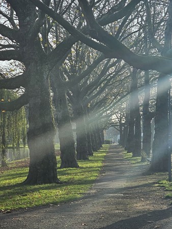 Medium property photo - Van Weelstraat 37A, 3022 ZB Rotterdam
