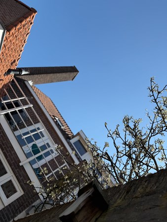 Medium property photo - Prins Alexanderstraat 30, 5616 BL Eindhoven