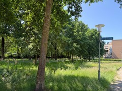 IMG_4546.jpg