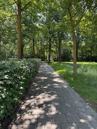 Medium property photo - Gershwinstraat 9, 5654 KD Eindhoven