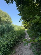 IMG_4553.jpg
