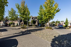 Tarwebeemd 7 - Valkenswaard - F-006.jpg