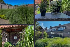 My project-1-13.jpg