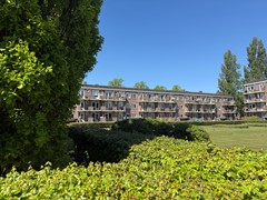 IMG_1124.jpeg
