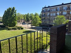 IMG_1191.jpeg
