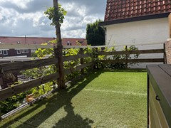 IMG_2292.jpg