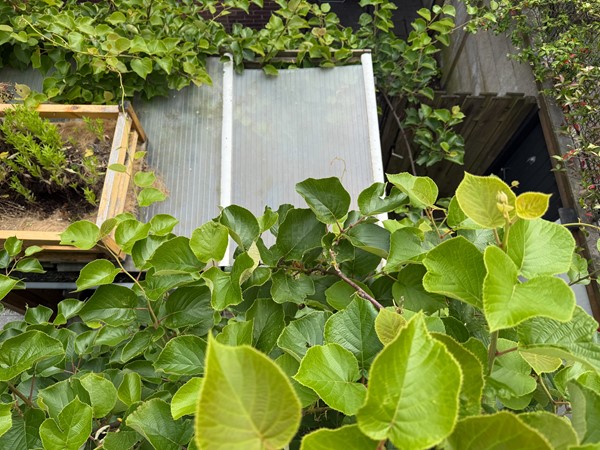 Medium property photo - Ranonkelstraat 77a, 5644 LB Eindhoven