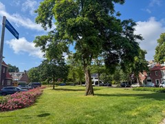 IMG_2251.jpg