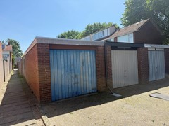 IMG_2050 2.jpeg