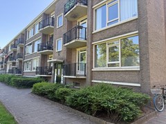 IMG_1976.jpeg