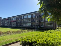 IMG_1977.jpeg