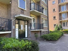 IMG_1987.jpeg