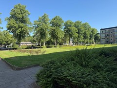 IMG_1975 2.jpeg