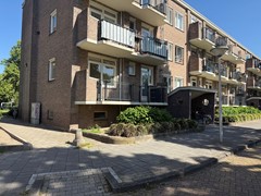 IMG_1974.jpeg
