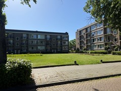 IMG_1980.jpeg