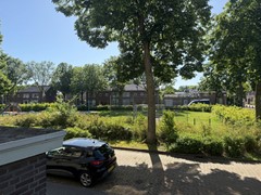 IMG_1954.jpg