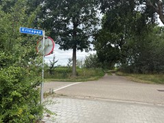 IMG_3746.jpeg