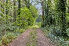 Wilbertsheem155581JXWaalre-60.jpg