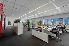 JO bv.jpg