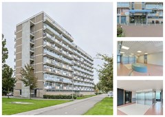 Lupinesingel_266_Alphen_aan_den_Rijn_02_Collage.jpg