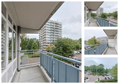 Lupinesingel_266_Alphen_aan_den_Rijn_12_Collage.jpg