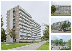 Lupinesingel_266_Alphen_aan_den_Rijn_01_Collage.jpg