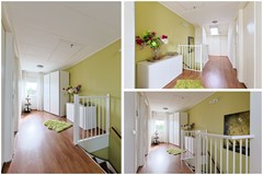 Aardepad_5_Alphen_aan_den_Rijn_10_Collage.jpg