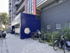 IMG_6115.jpg