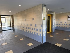 IMG_6118.jpg