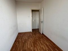 IMG_6074.jpg