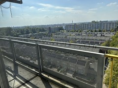 IMG_6101.jpg