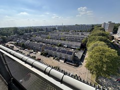 IMG_6064.jpg